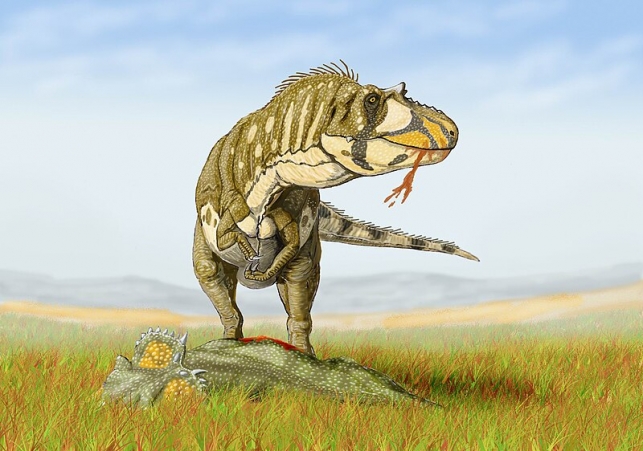 Raptor