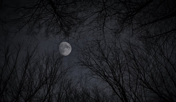 pexels-photo-5409941