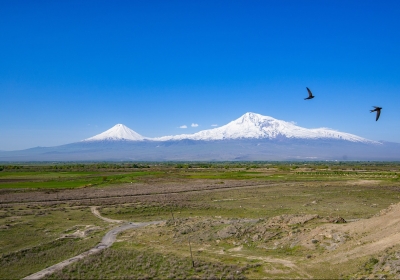 armenia wykopaliska