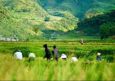 warsztat opalowy i litofony z Gia Lai
