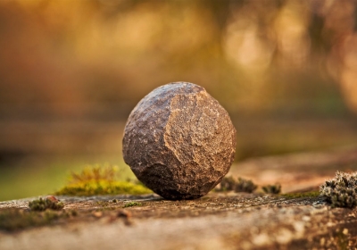  stanowisko archeologiczne