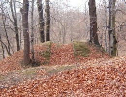 krzykawka