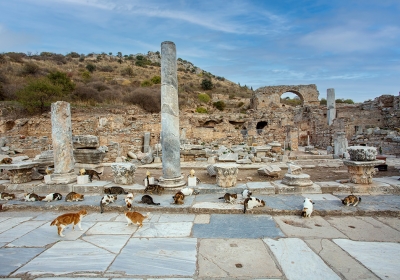 starozytny efez