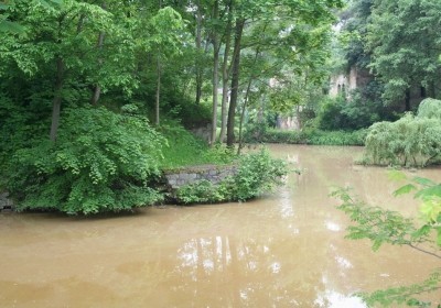 zatopione zloto z Wrocławia